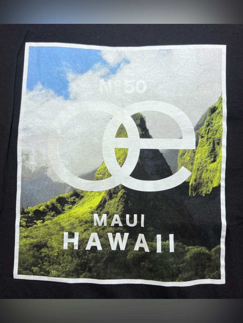 Maui Hawaii Graphic Tee - Black with Green Landscape ONE EIGHTY MAUI (0038)